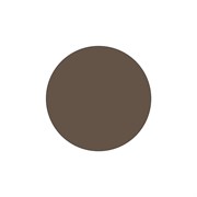 АВТОКРАСКА FOTON -Coffee Gold  / КОД -  Unknown (Coffee Gold)